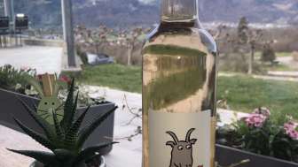 Wein