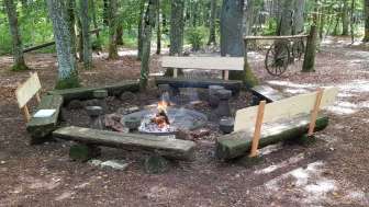 Grillstelle Waldwirtschaft Schlossranden