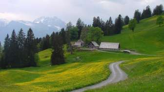 Alp Schrina