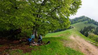 Weg mit Feuerstelle