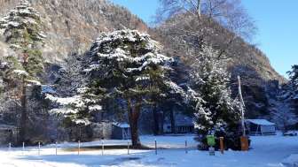 Waldcamping