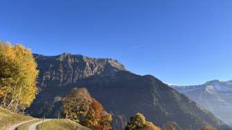 Herbststimmung