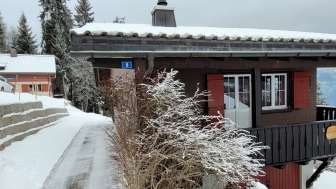 Chalet Alvier