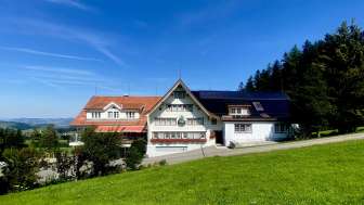 Hirschen Wald