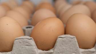 Frische Eier vom Neufeldhof in Liechtenstein – direkt vom Huhn ins Regal, regional und nachhaltig produziert.