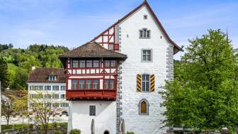 Museum Burg Zug