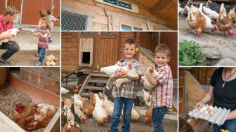Andreas mit Kindern und Hühner