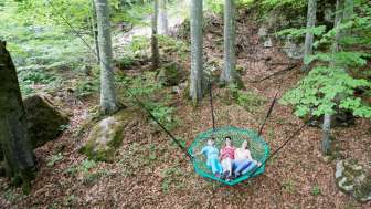 Baumschaukel