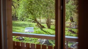 Ausblick vom Balkon des Gästehauses beim Camping Mittagsspitze auf eine grüne Wiese mit Bäumen im Frühling.