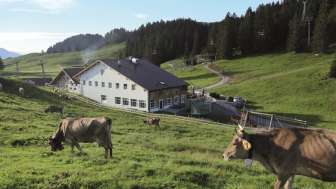 Berggasthaus Restaurant Molseralp