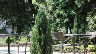 Terrasse und Garten