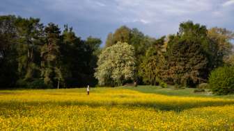 Seeburgpark