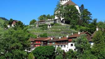 Schloss Werdenberg.