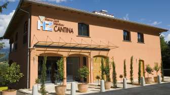 Harry Zech Weinbau Cantina