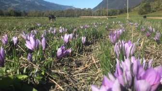 Adanks kleine Farm