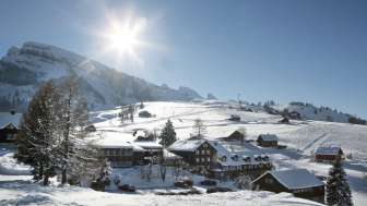 Stump's Alpenrose - Ski-In/Ski-Out