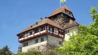 Schloss Frauenfeld