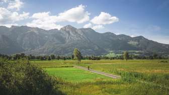 Drohnenaufnahme des Ruggeller Riet mit Bergen im Hintergrund