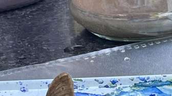 Bild mit Schmetterling 2