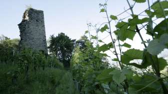 Burg Grimmenstein