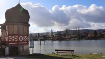 steinamrhein-rhein-ufer-januar