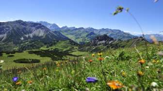 Wandern