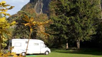 Waldcamping