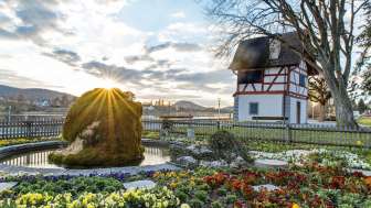 SteinamRhein_Frühling_Sonne_Garten_Rhein