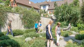 SteinamRhein_Stadtführung_Kloster_Kräutergarten_Sommer