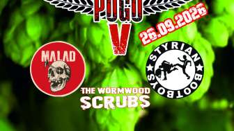 BODENSEE POGO V: MALAD (NL) + STYRIAN BOOTBOYS (AT) + THE WÖRMWOOD SCRUBS (DE)