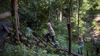 Erlebnisstation im Sinnepark