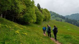 Weg Richtung Rotstein