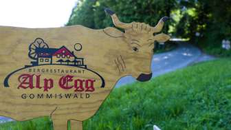 Bergrestaurant Alp Egg