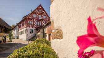 Holländerhaus, Hofen