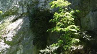 Filzbach-Schlucht