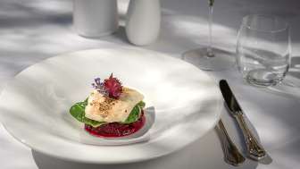 Elegant angerichtetes Hauptgericht mit Fisch