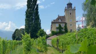 Schloss Salenegg
