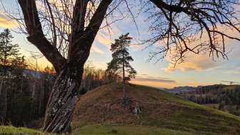 Natur