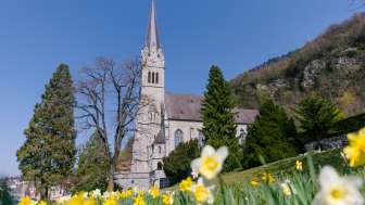 Blumenwiese vor der Kathedrale St. Florin in Vaduz