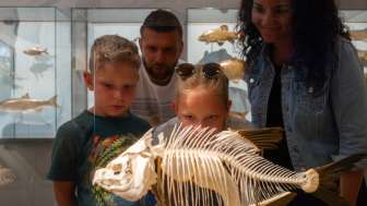 Familie betrachtet ein Fischskelett im Liechtensteinischen LandesMuseum