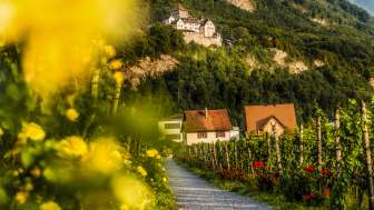 Romantischer Wanderweg durch Weinreben mit Blick auf Schloss Vaduz, umgeben von herbstlichen Farben und Landhäusern.