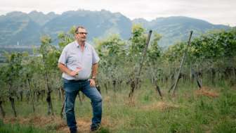 Weingut Castellum