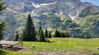 Malanseralp