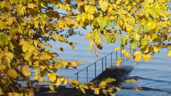 Herbstsee