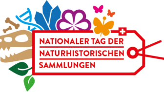 Türe auf! Blick in die Museumssammlung