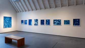01 Simone Kappeler nature vivante Ausstellungsansicht im Kunstmuseum Thurgau Foto Stefan Rohner
