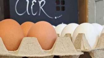 Eier