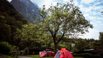 Zeltplatz auf dem Camping Mittagsspitze mit roten Zelten unter einem großen Baum vor Bergkulisse.