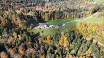 Das Gasthaus Fuchsacker liegt mitten in der Natur mit Wald und Wiesen