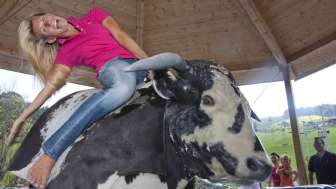 Bullriding